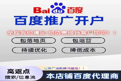 百度竞价排名实战：关键词优化与落地页优化案例